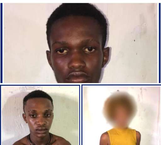Poursuite de la chasse à 400 mawozo, 3 arrestations à Jacmel - Police